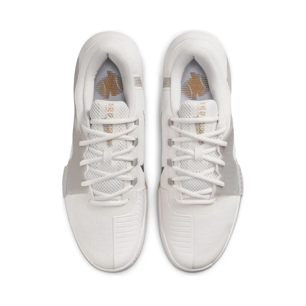 Nike Court GP Challenge 1 HC Premium Phantom College Grey Metallic Gold Metallic Pewter (FZ1244-001)