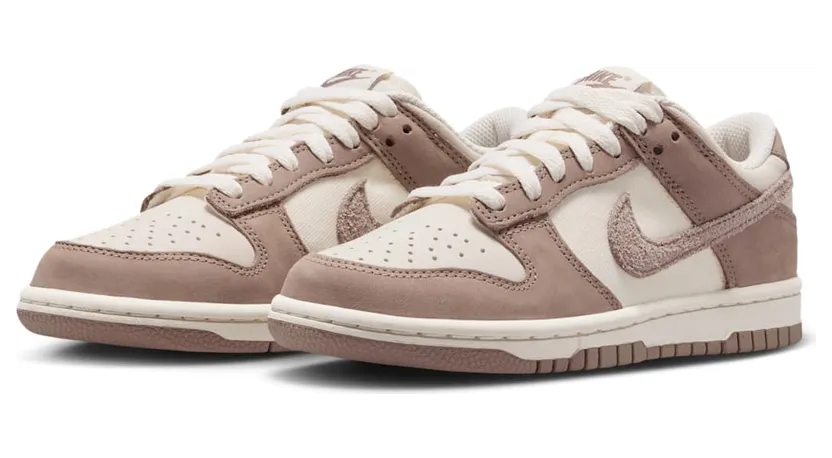 nike-dunk IB5721-100