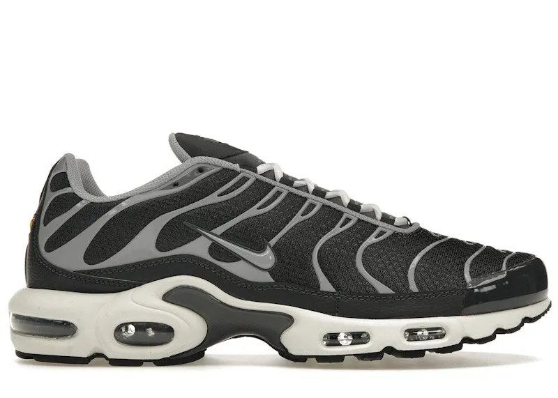 Nike Air Max Plus Greyscale Cool Grey (DZ2655-001)
