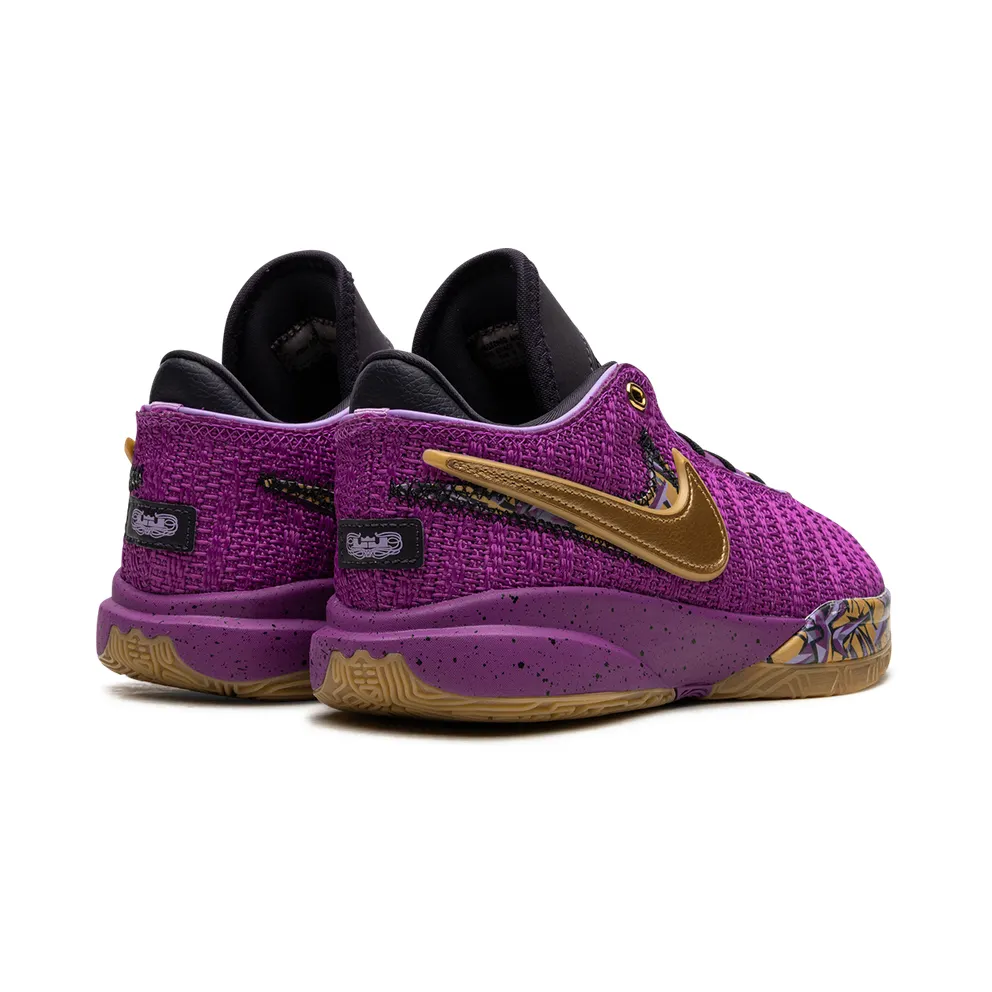 Nike LeBron 20 GS “Young Heirs” (FD0207-500)