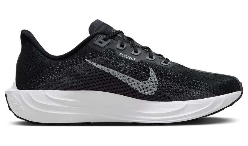 nike-air-pegasus FQ7262-002