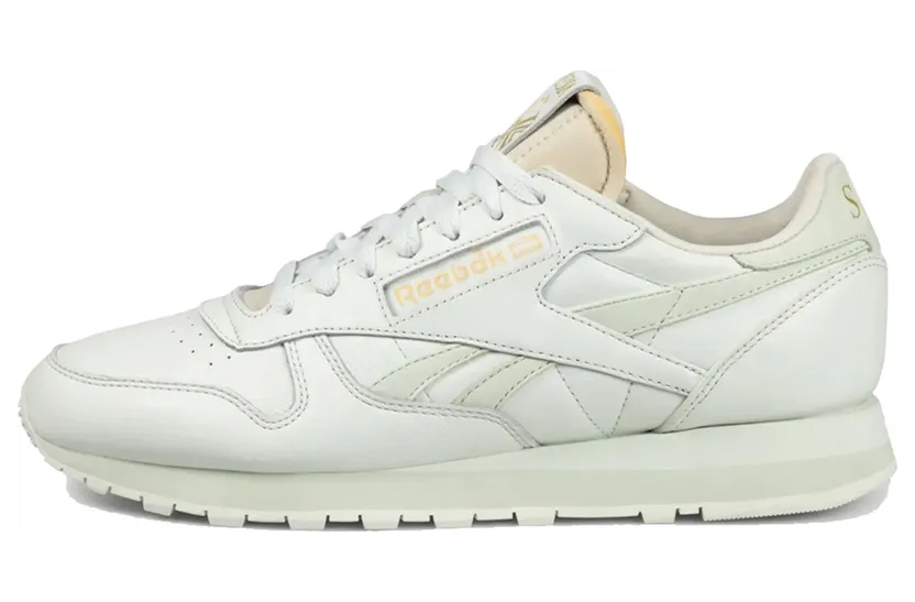 Reebok x Aries Classic Leather Mystics Shoe (100201988)