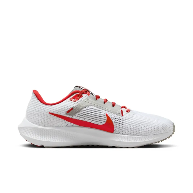 Nike Pegasus 40 Ohio State (DZ5969-100)