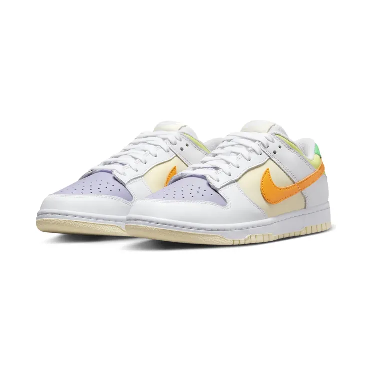 nike-dunk FJ4742-100