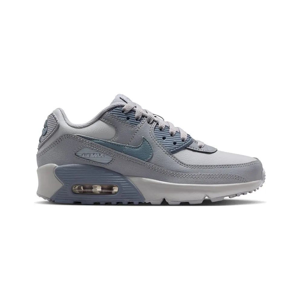Nike Air Max 90 LTR Wolf Grey Stealth Armory Blue (CD6864-032)