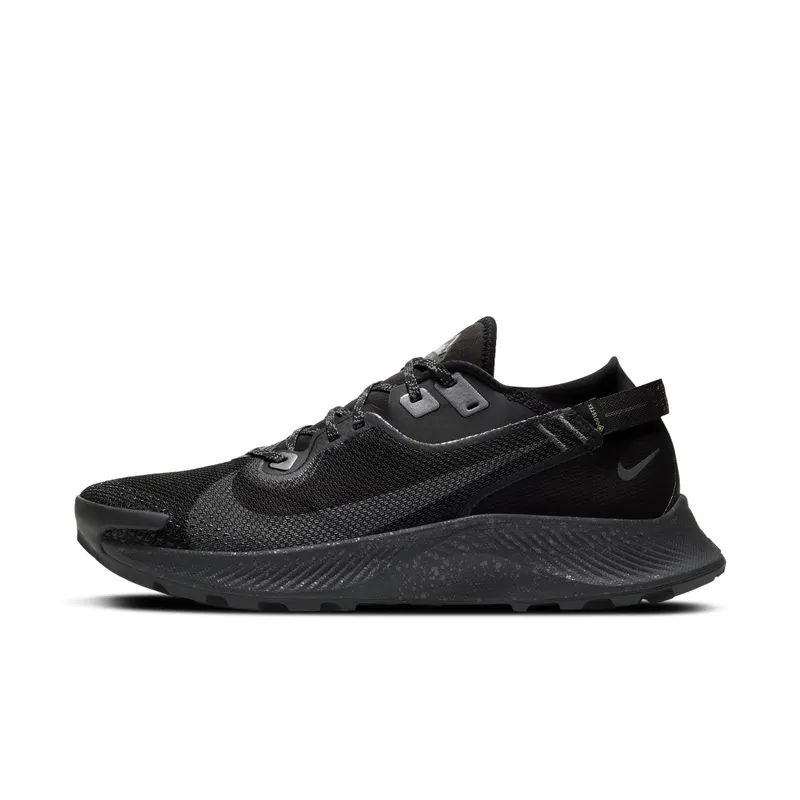 Nike Pegasus Trail 2 GORE-TEX Trail Running Black (CU2016-001)