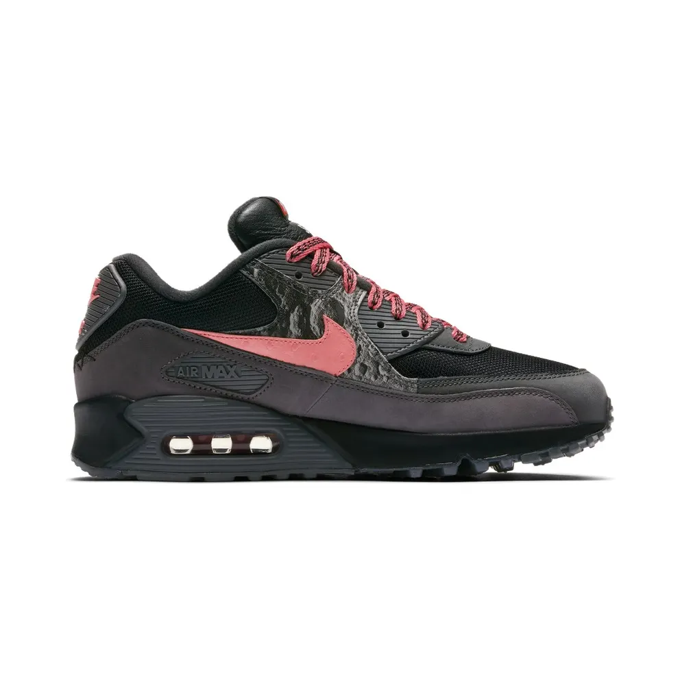 Nike Air Max Premium 90 ‘Side B’ (2019) (CI6394-001)