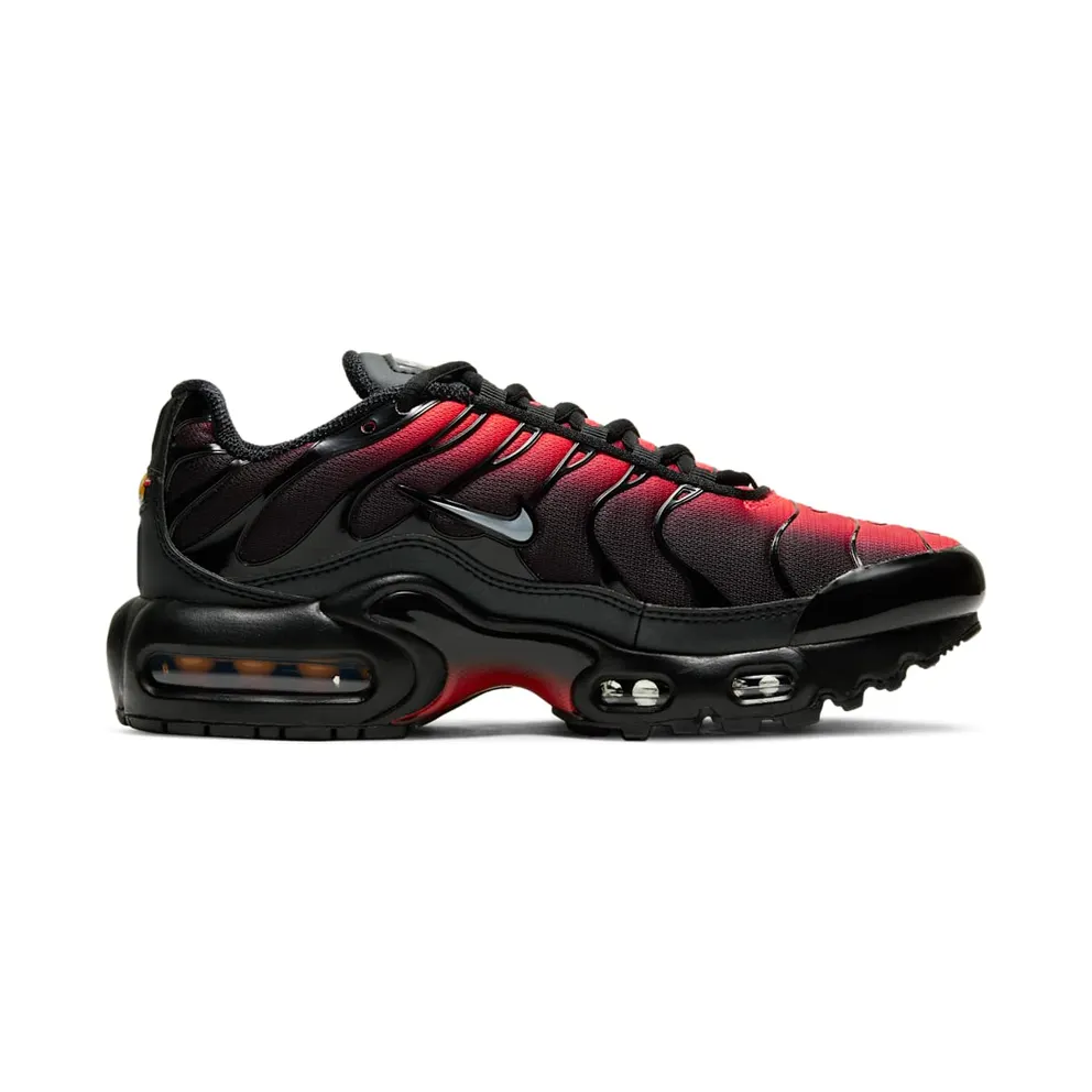 Nike Air Max Plus Black Crimson (DD3229-001)
