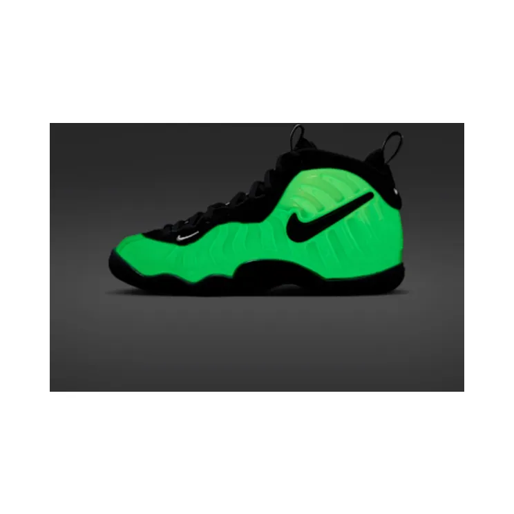 nike-little-posite-pro IV7559-100