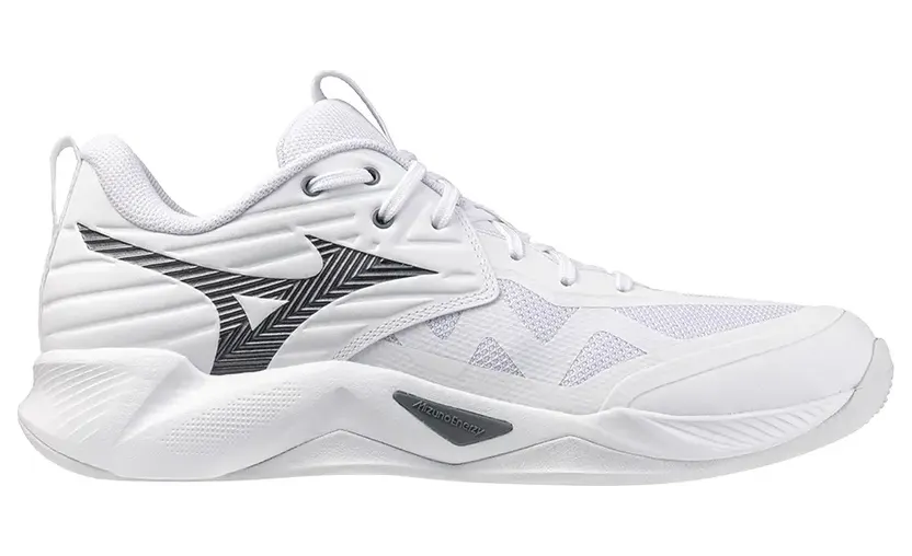 Mizuno Wave Momentum Wit (V1GA254083)