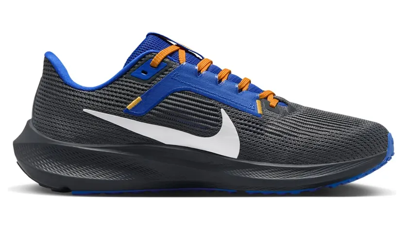 nike-air-pegasus DZ5958-001
