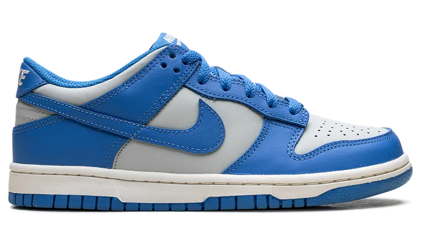 nike-dunk FB9109-004