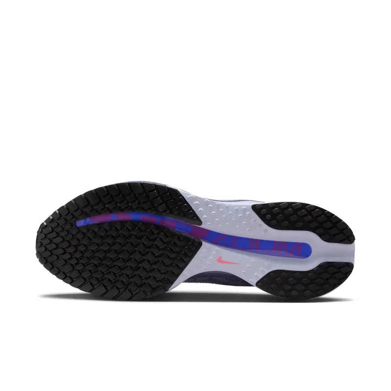 Nike Pegasus Premium “Persian Violet” (HQ2592-004)
