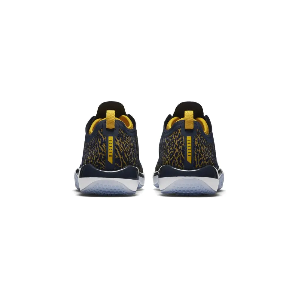 Jordan Trainer 1 Low Michigan College Navy/White-Amarillo (845403-420)