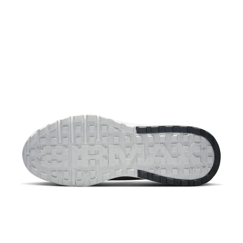 Nike Air Max Bia Wolf Grey / Dark Smoke Grey / Photon Dust (IO9416-003)