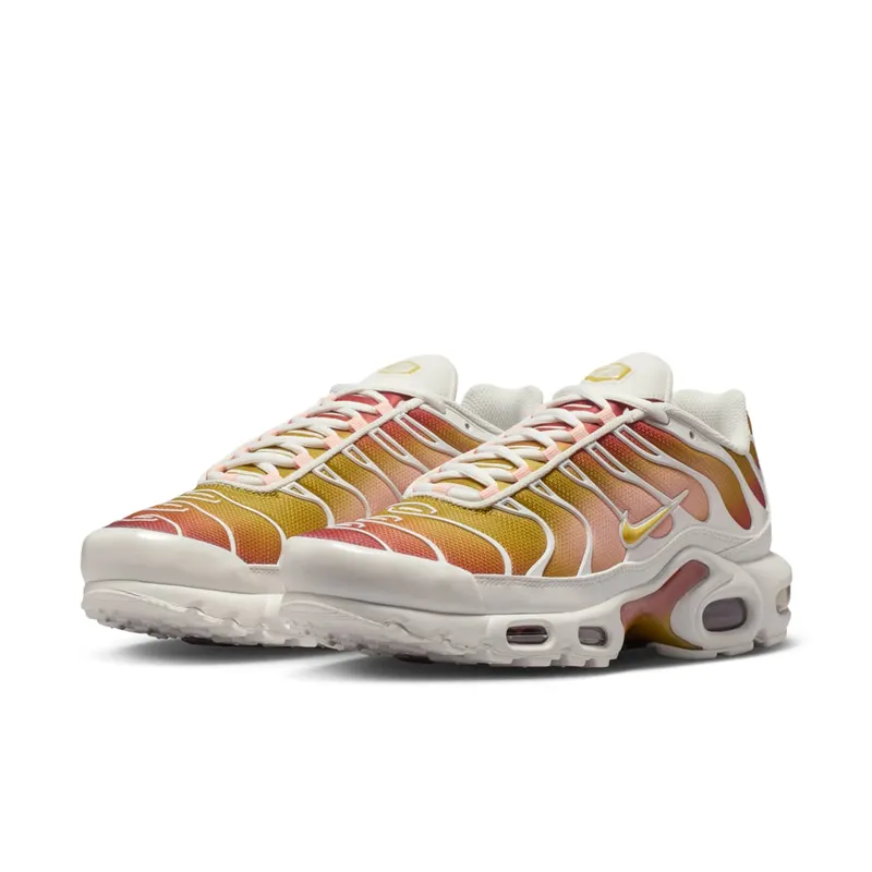 Nike Air Max Plus Grey (DZ3670-007)