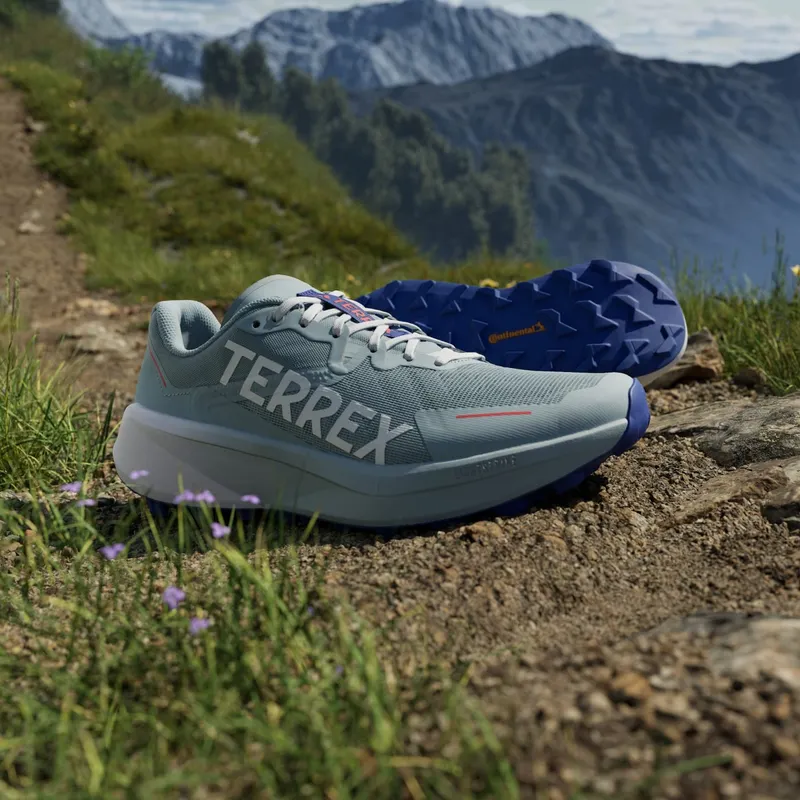 Adidas Terrex Agravic 3 Trail Running Magic Grey / Cloud White / Semi Lucid Blue (JP7255)
