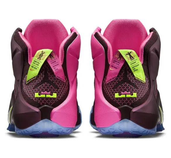 nike-lebron-12 684593-607