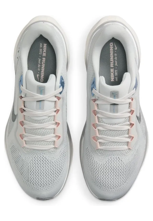 nike-air-pegasus FD2723-007