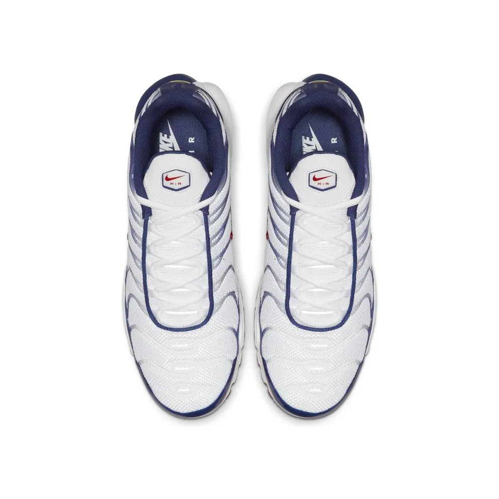Nike Air Max Plus White Red Blue White/Gym Red (CJ9928-100)