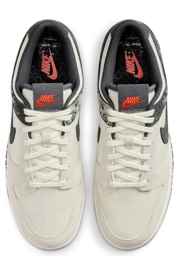 nike-dunk IB7720-110