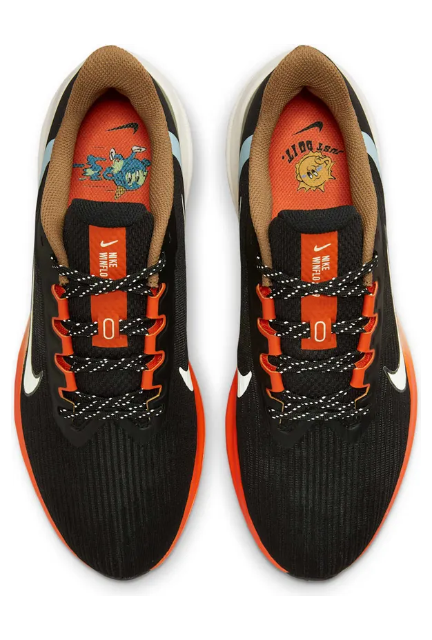 nike-air-winflo-9 DX6040-071