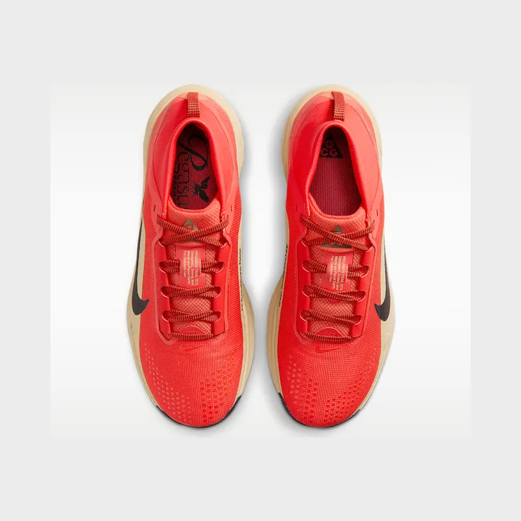 nike-air-pegasus IQ1084600