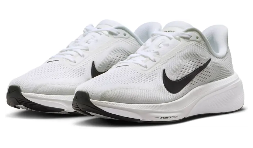 nike-air-pegasus IH2306-101