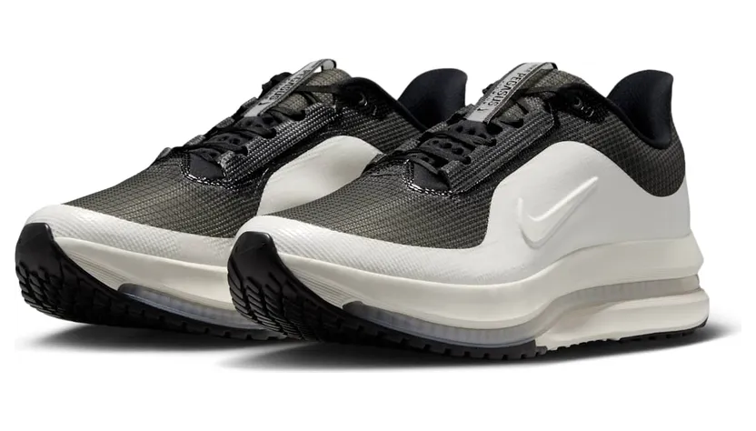 nike-air-pegasus IR2166-001