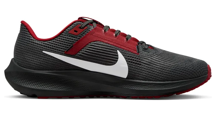 nike-air-pegasus DZ5994-001