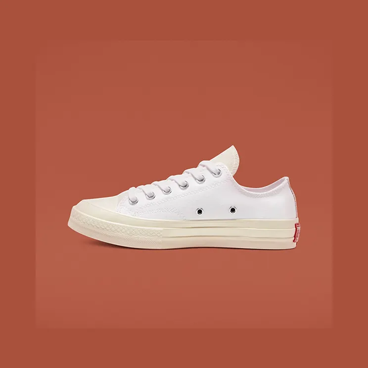 converse-chuck-taylor-all-star 168673C