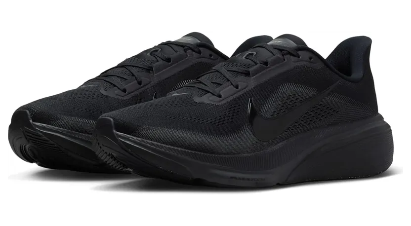 nike-air-pegasus IB1873-003