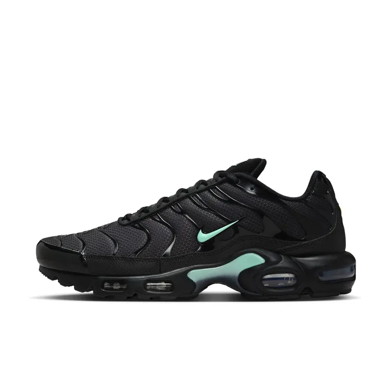 Nike Air Max Plus Black Mint Green (DM0032-029)