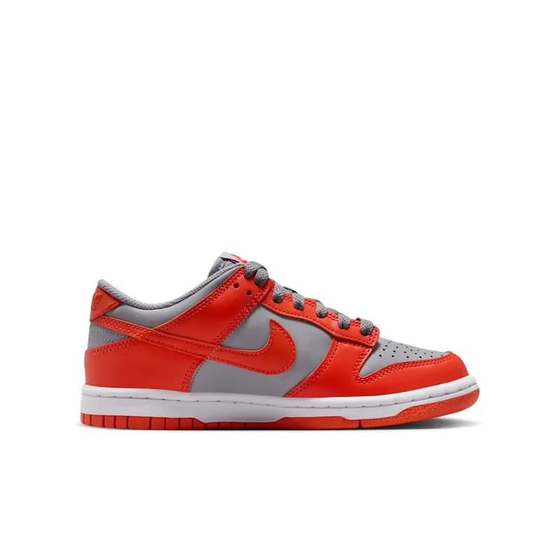 Nike Dunk Low Cement Grey Team Orange (FB9109-011)