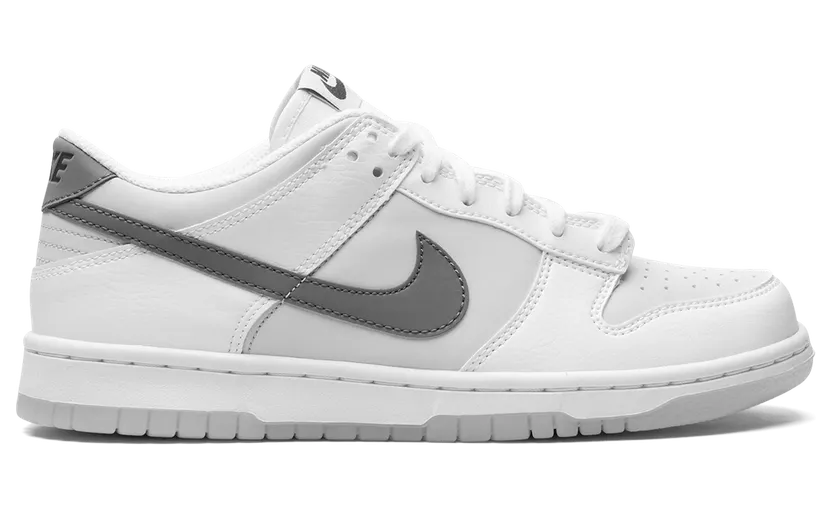nike-dunk FV0365-100