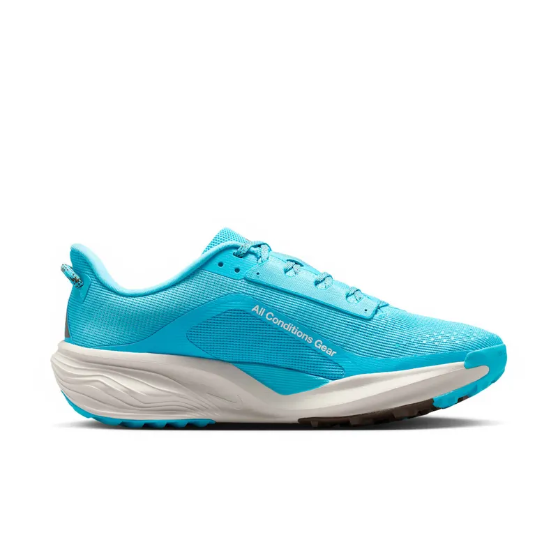 Nike ACG Baltic Blue/Light Orewood Brown/Ironstone/Summit White (HV8116-400)