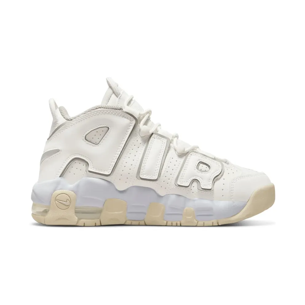 Nike Air More Uptempoen Grey (DM1023-001)