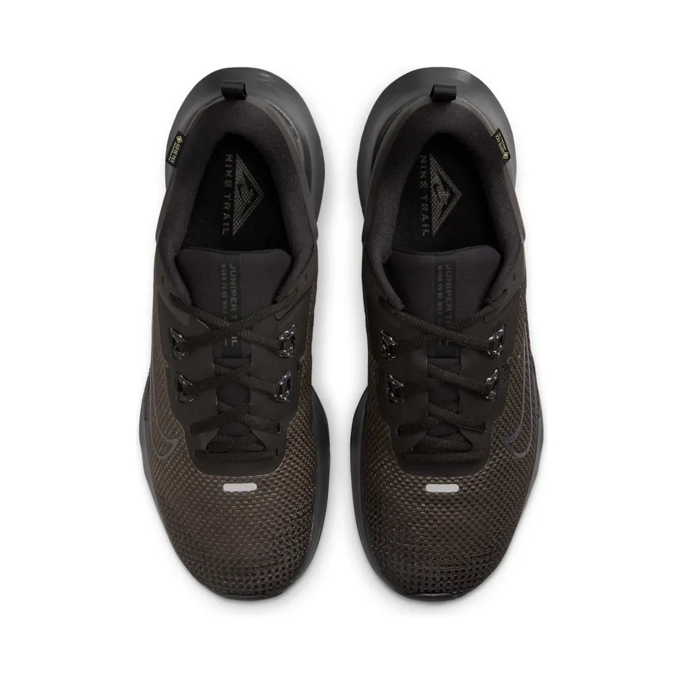Nike Juniper Trail 2 Gore-Tex Velvet Brown Black Reflect Silver Anthracite (FB2067-200)