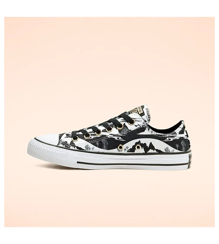 converse-chuck-taylor-all-star 167360C