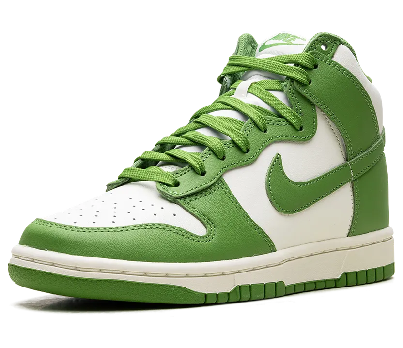 nike-dunk DD1869-300