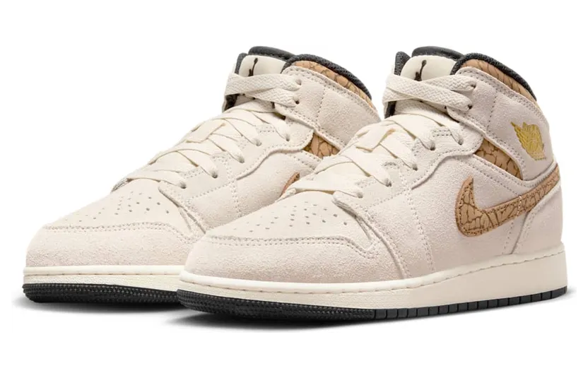 air-jordan-1 DZ5369-102