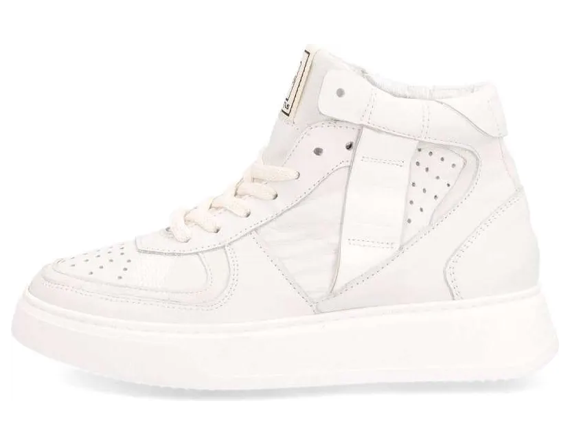 mjus-sneaker P56201.3