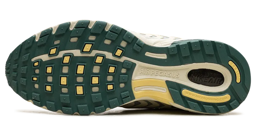 nike-air-pegasus FZ2590-100