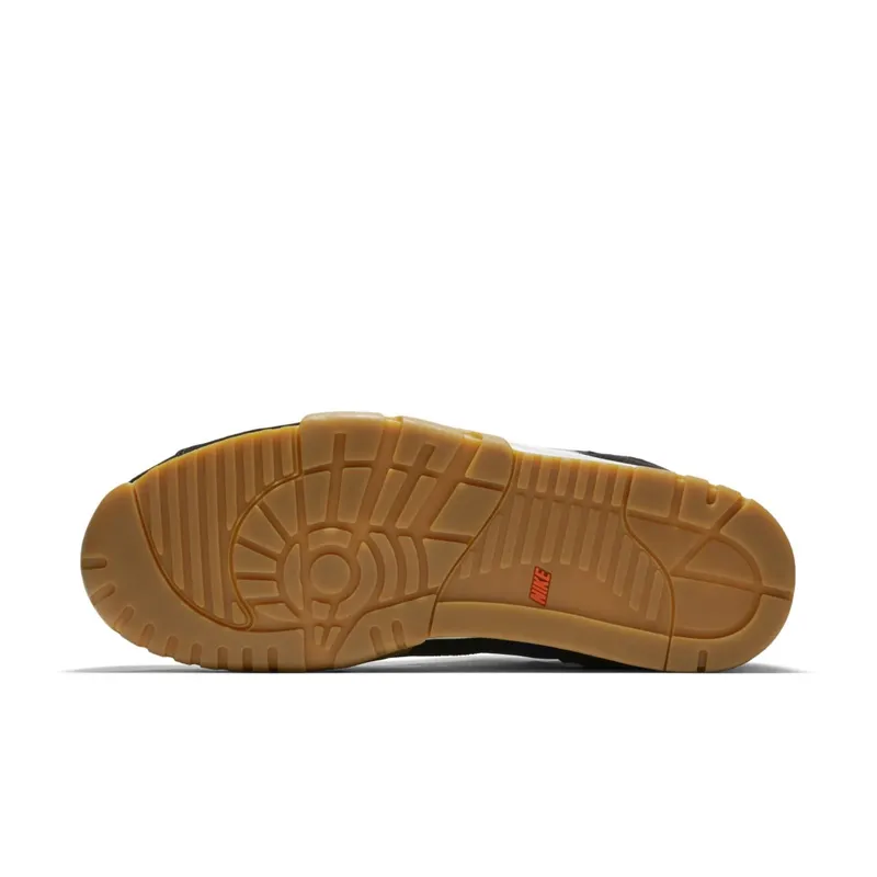 Nike SB x Polar Skate Co Air Trainer 1 (2019) (CI6892-001)