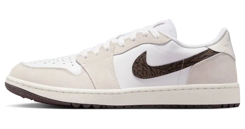 Air Jordan 1 DD9315-116