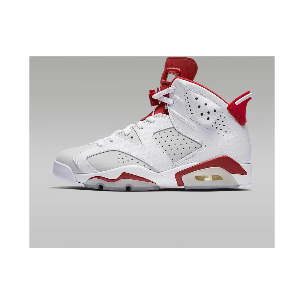 Air Jordan Nike AJ 6 VI Retro Alternate Hare (384664-113)