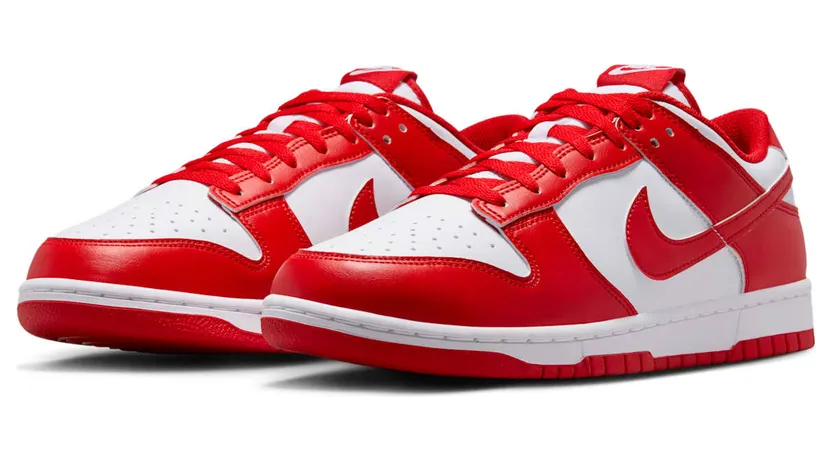nike-dunk HF5441-104
