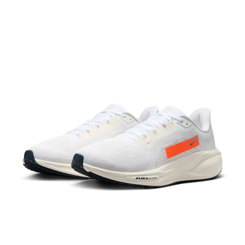 Nike Air Zoom Pegasus 41 PQ Anniversary (HF4300-100)