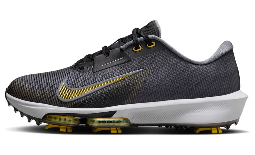 Nike Air Zoom Infinity Tour 2 Black Cool Grey Pure Platinum Infinite Gold (FD0218-003)