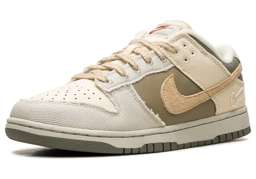 nike-dunk FZ4341-100